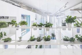 高檔工作室裝修圖片大全