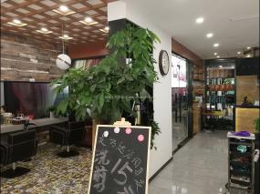 最新時(shí)尚美發(fā)店裝修設(shè)計(jì)效果圖